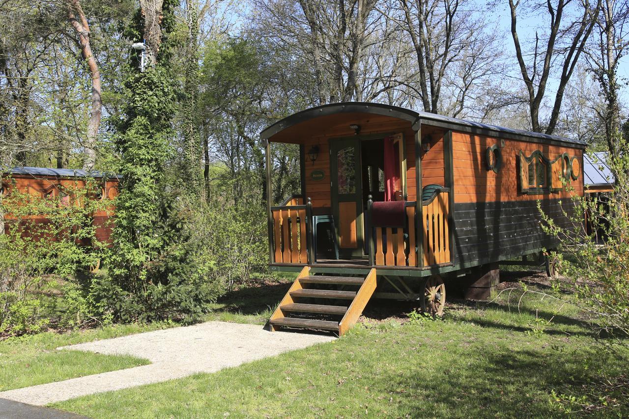 Willa Roulottes De Bois Le Roi Zewnętrze zdjęcie